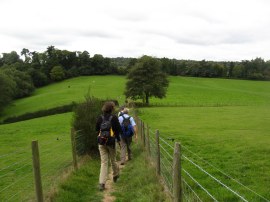 Heading towards Ewhurst Road